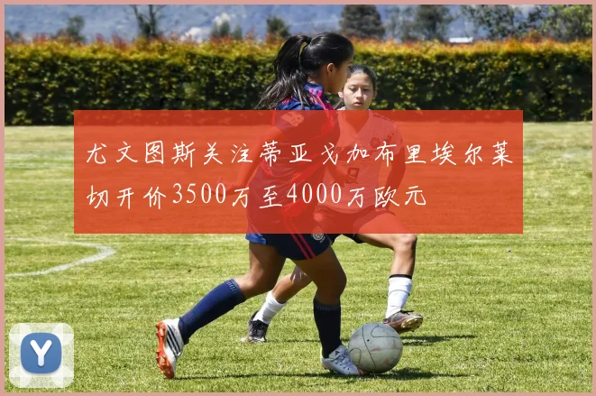 尤文图斯关注蒂亚戈加布里埃尔莱切开价3500万至4000万欧元